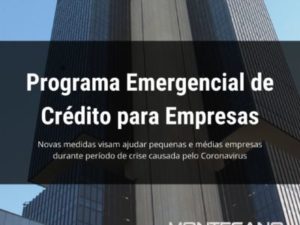 Leia mais sobre o artigo COVID-19: PROGRAMA EMERGENCIAL DE LINHAS DE CRÉDITO PARA EMPRESAS E A ECONOMIA BRASILEIRA