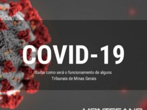 Leia mais sobre o artigo COVID-19: Saiba como será o funcionamento de alguns Tribunais de Minas Gerais